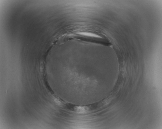 X0000068740277200605121552