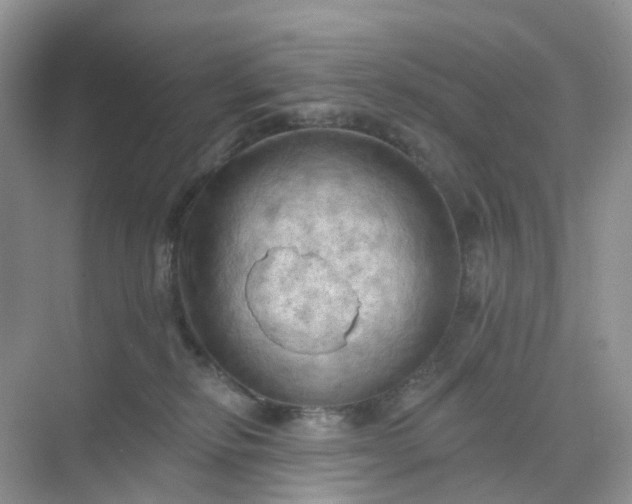 X0000068740278200605121552