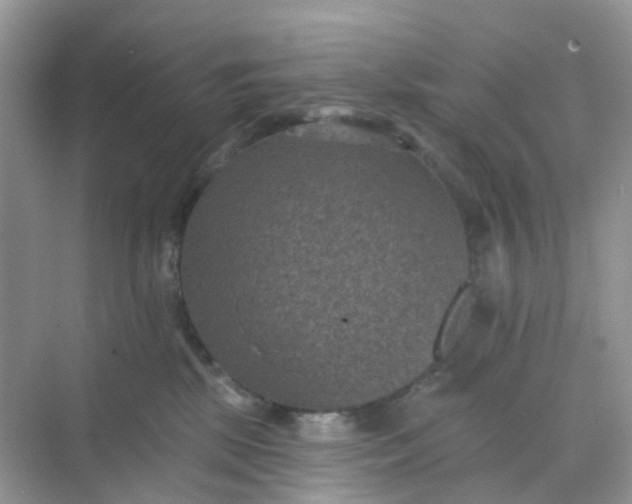 X0000068740281200605121552