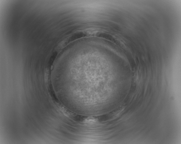 X0000068740283200605121552