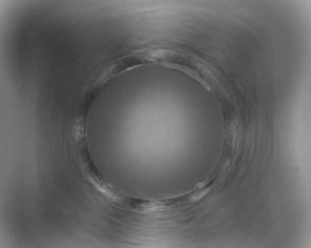 X0000068740284200605121552