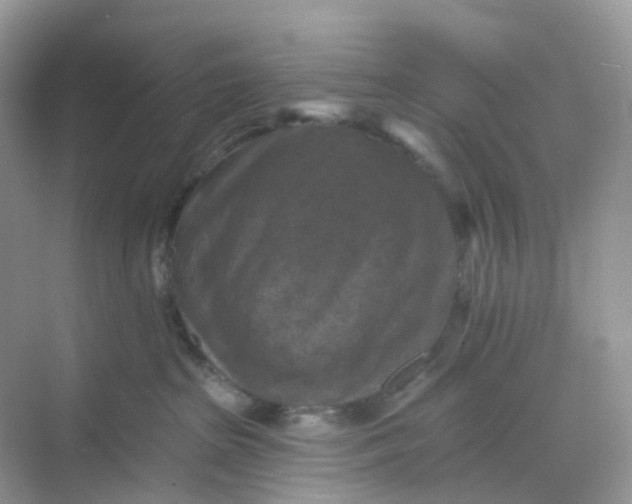 X0000068740285200605121552