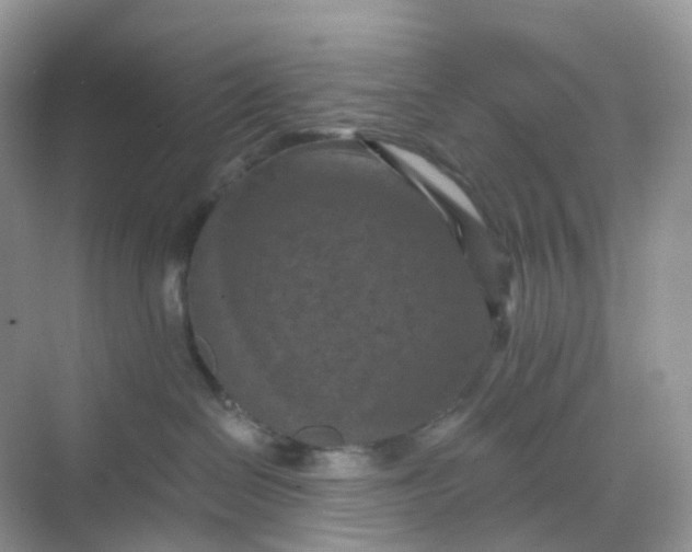 X0000068740286200605121552