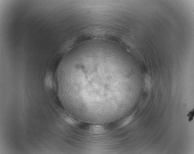 X0000068740287200605121552