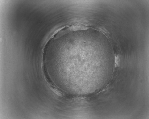 X0000068740291200605121551