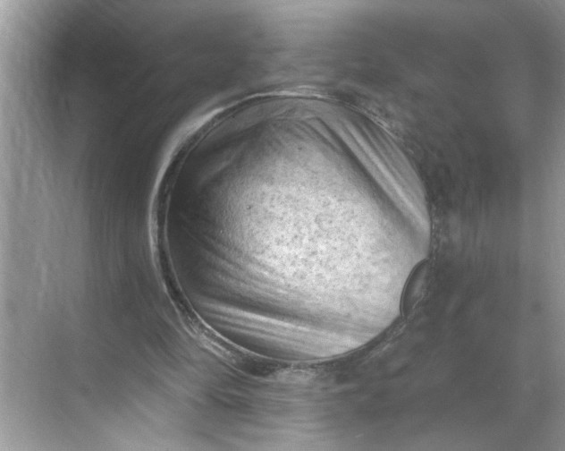 X0000068740294200605121551