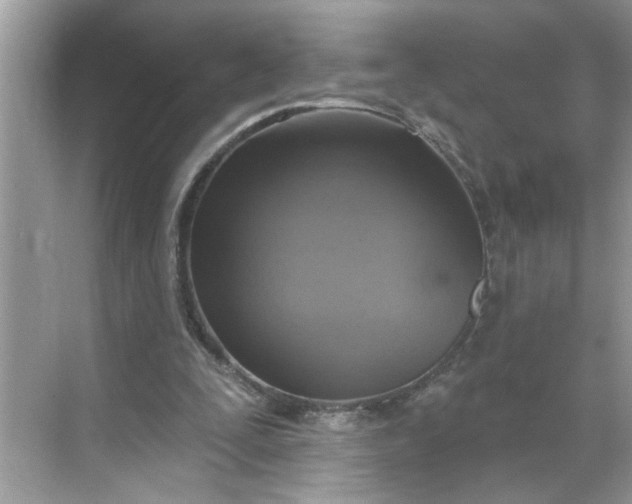 X0000068740295200605121551