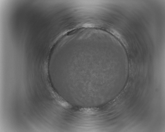 X0000068740297200605121551