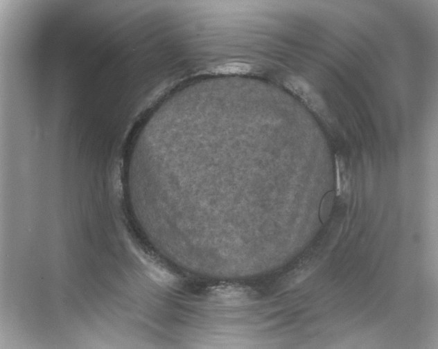 X0000068740300200605121551