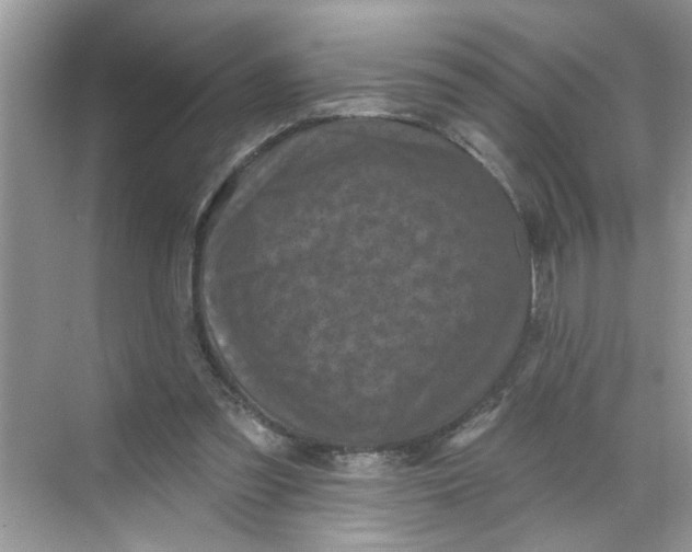 X0000068740301200605121551