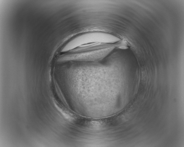 X0000068740302200605121551