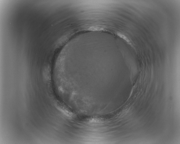 X0000068740303200605121551