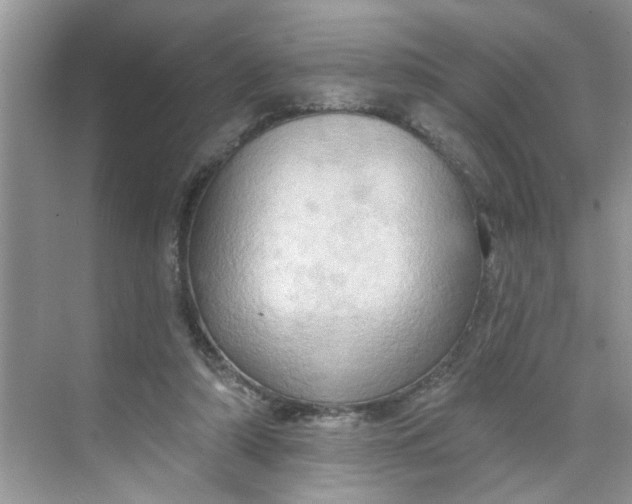 X0000068740306200605121551