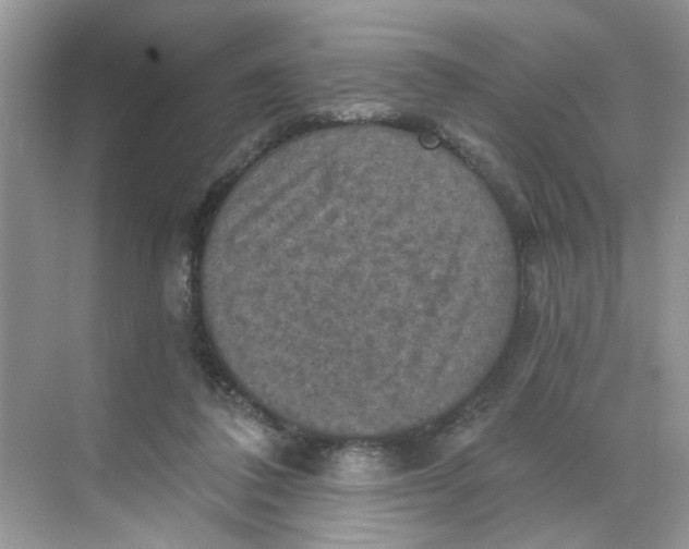 X0000068740308200605121551