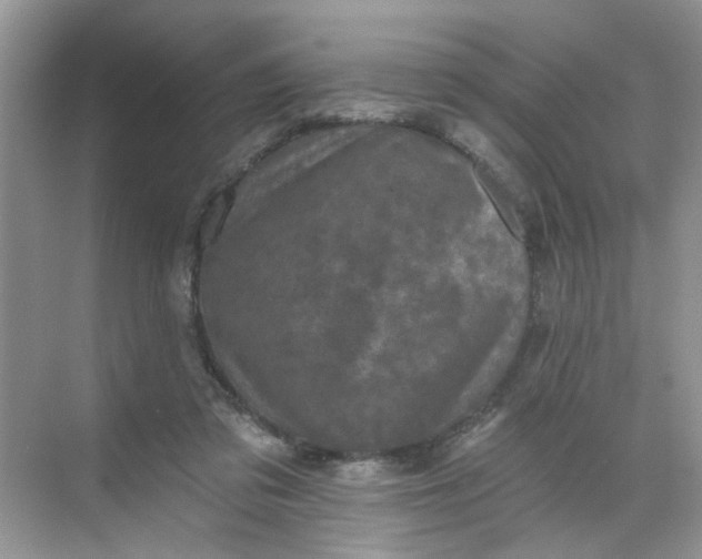 X0000068740309200605121551