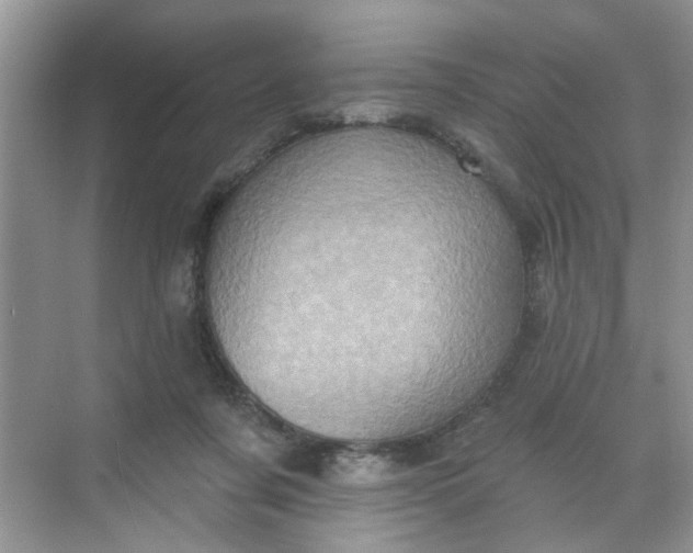 X0000068740311200605121551