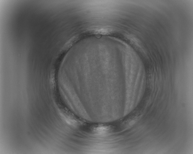 X0000068740312200605121551