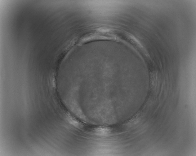 X0000068740313200605121551