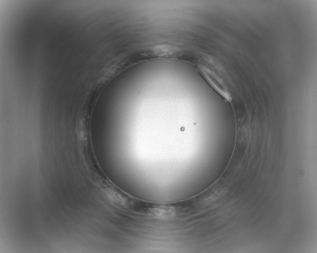 X0000068740317200605121550