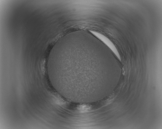 X0000068740319200605121550