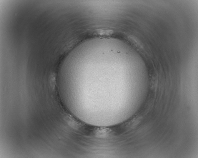 X0000068740321200605121550