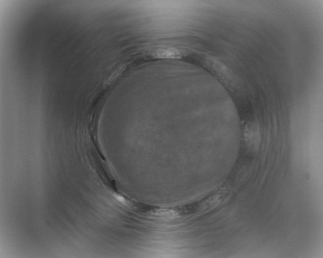 X0000068740322200605121550