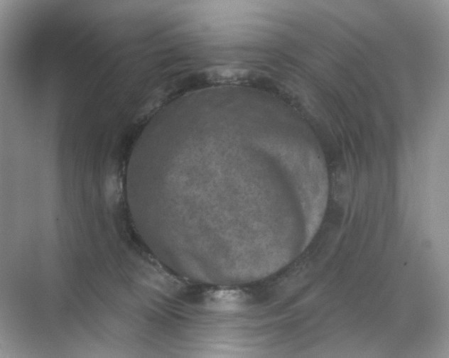 X0000068740324200605121550