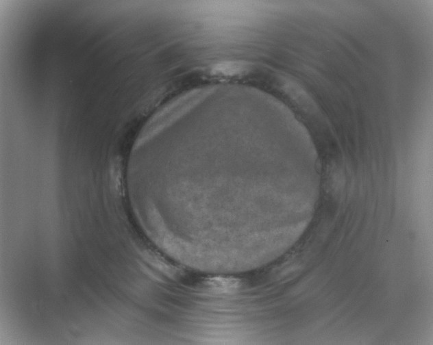 X0000068740328200605121550