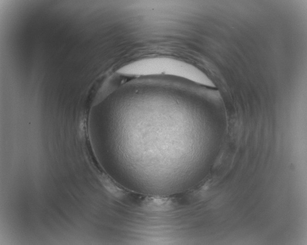 X0000068740329200605121550