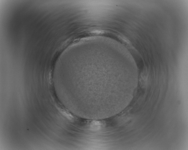 X0000068740330200605121550