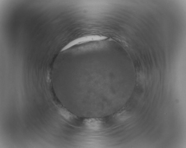 X0000068740331200605121550