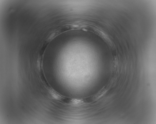 X0000068740333200605121550