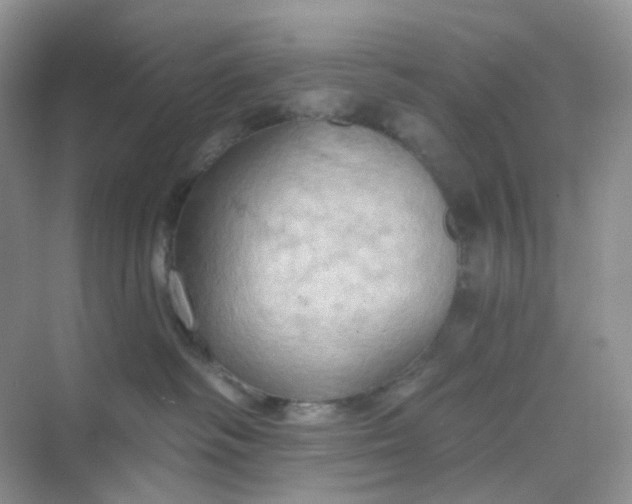 X0000068740334200605121550