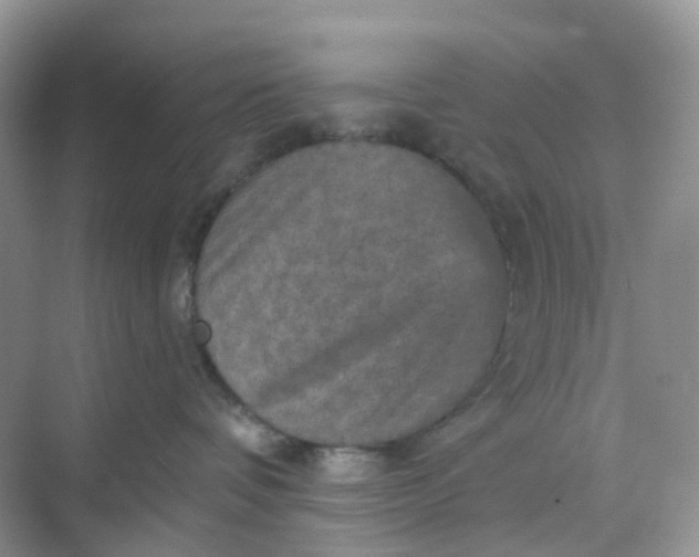 X0000068740336200605121550