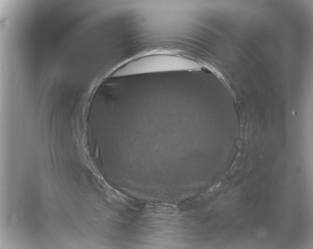 X0000068740337200605121549