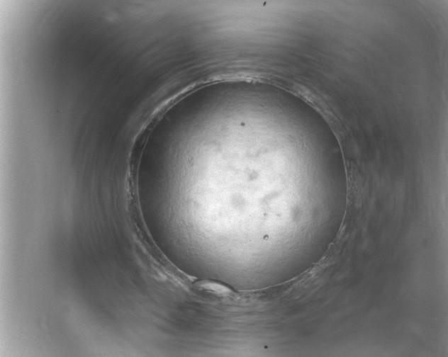 X0000068740338200605121549