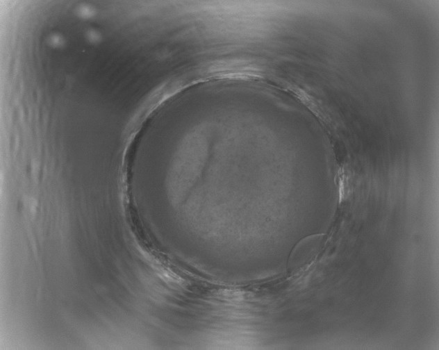 X0000068740339200605121549