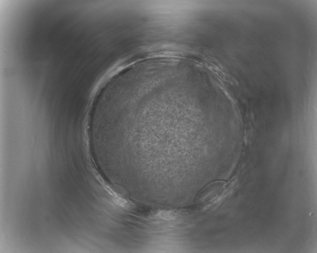 X0000068740341200605121549