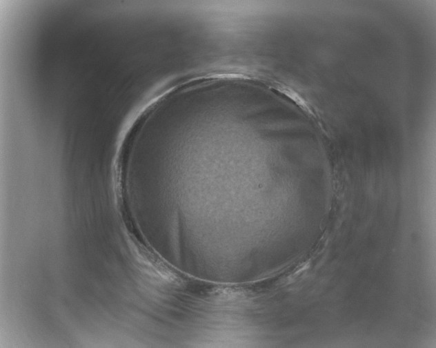 X0000068740343200605121549