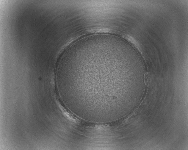 X0000068740345200605121549