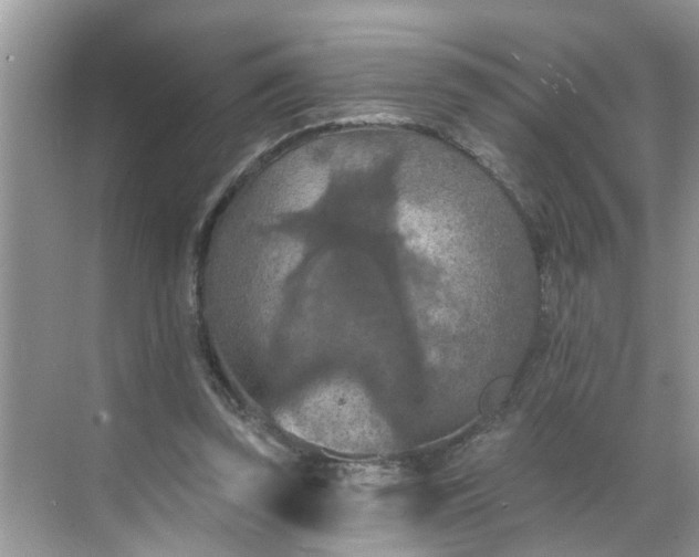 X0000068740347200605121549