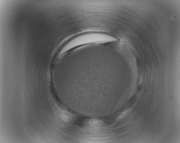 X0000068740348200605121550