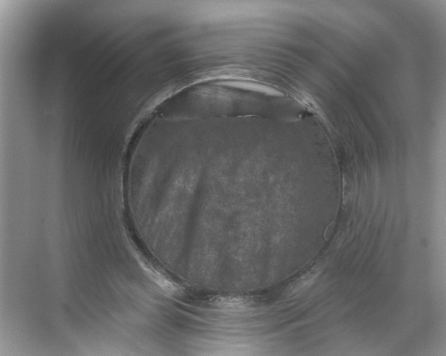 X0000068740349200605121550