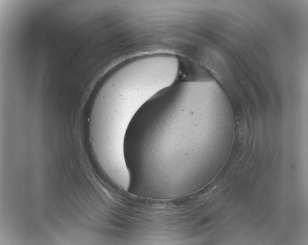 X0000068740350200605121550