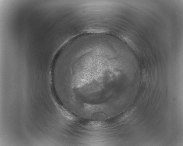 X0000068740351200605121550