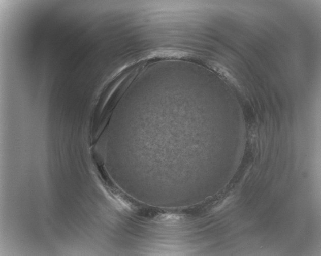 X0000068740352200605121550