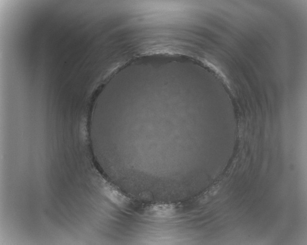 X0000068740353200605121550