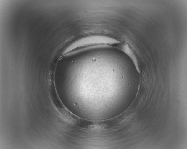 X0000068740356200605121550