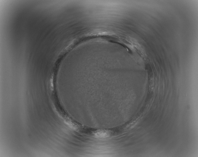 X0000068740358200605121550