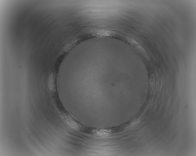 X0000068740359200605121550